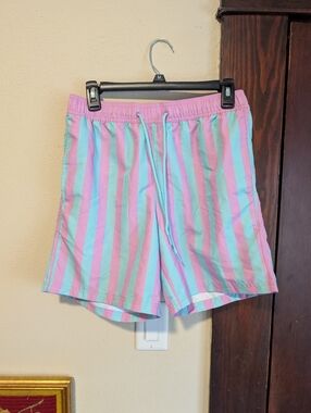 Mad Engine Purple And Blue Striped Swim‎ Shorts